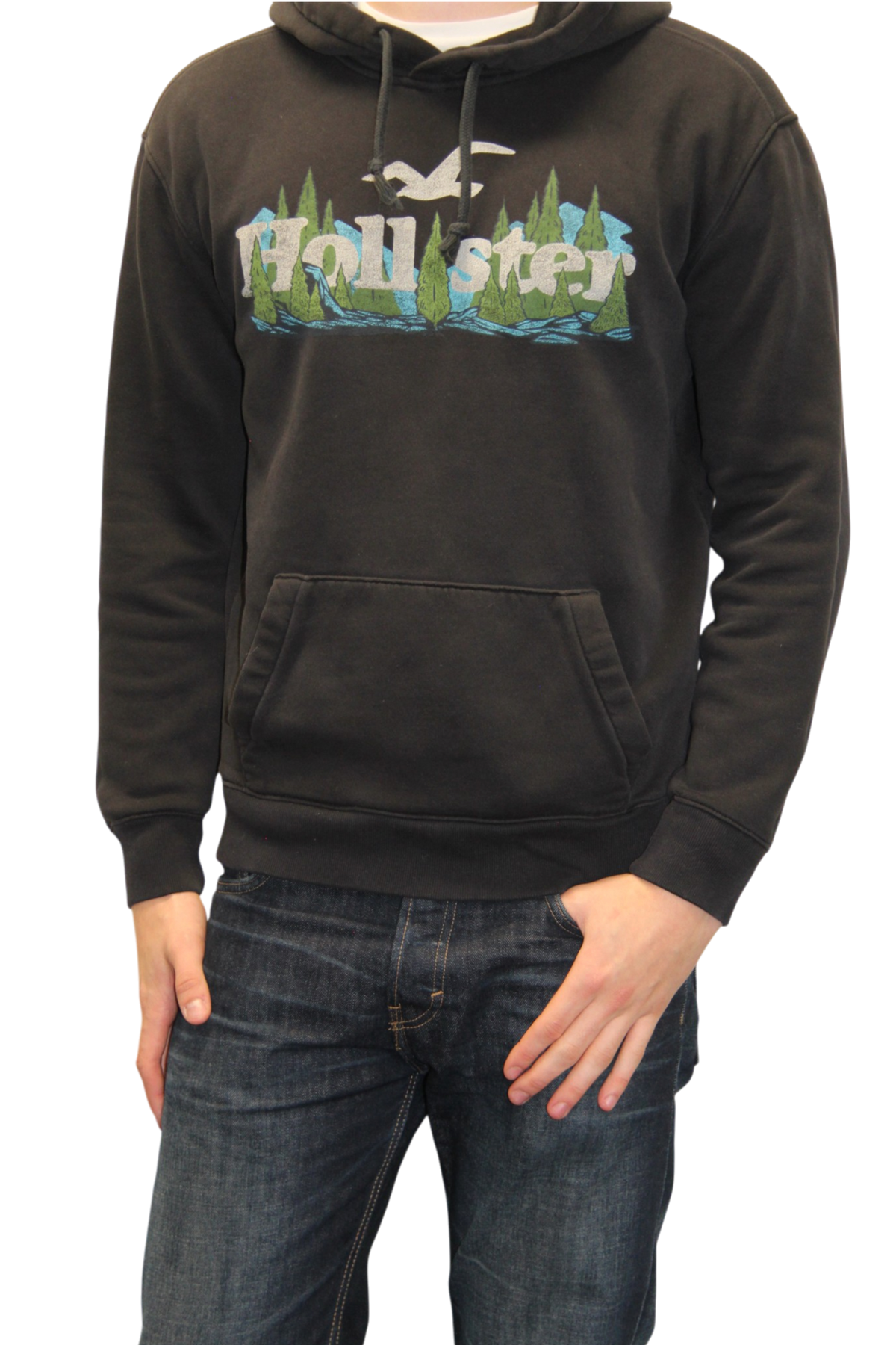 Hollister Hoodie