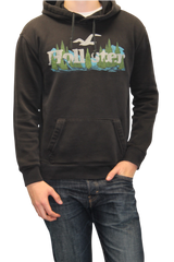 Hollister Hoodie