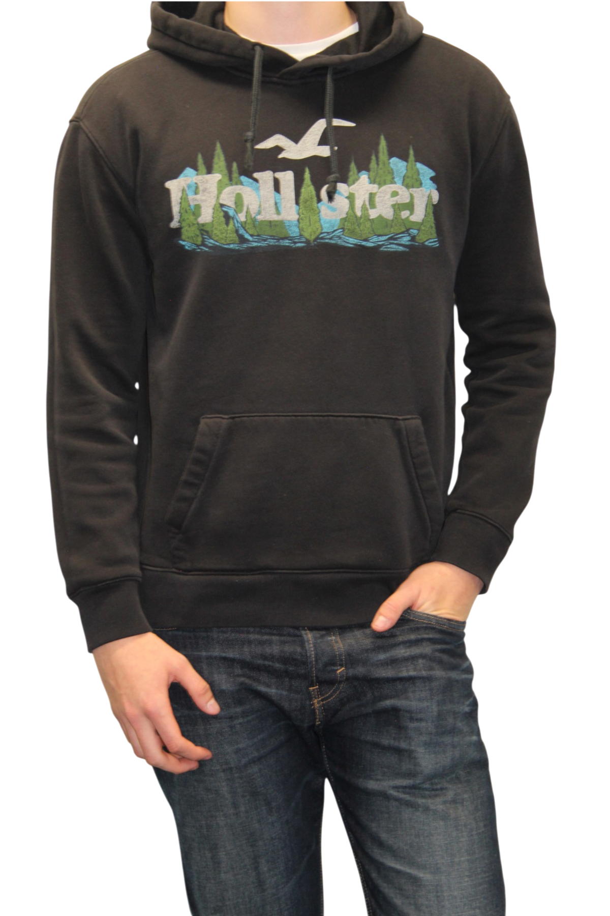 Hollister Hoodie