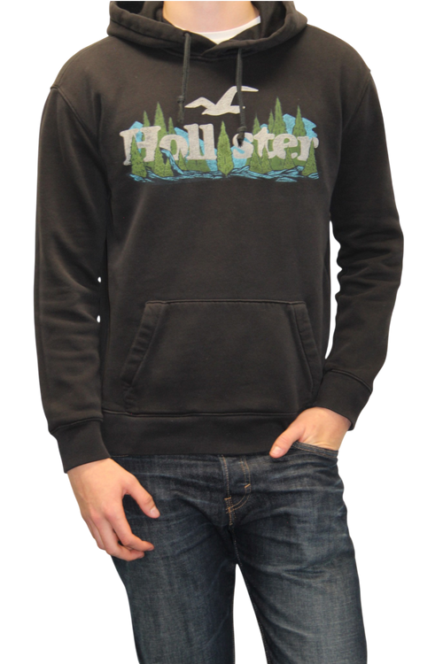 Hollister Hoodie